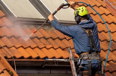 Démoussage et hydrofuge de toiture à Gex